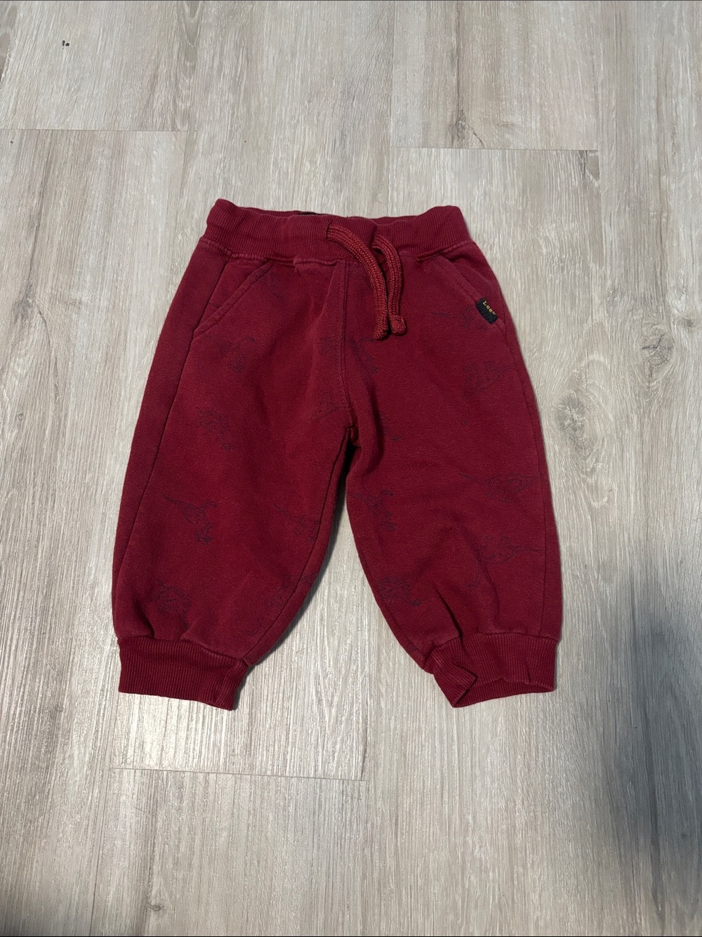 Lee Kids Maroon Dinosaur Jogger Sweatpants - Comfortable Everyday Bottoms